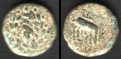 10bearbeitet-11mm.jpg