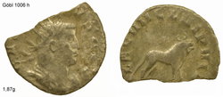 gallienus leg VII8.jpg
