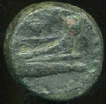 img005.jpg