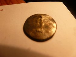 comp_Hadr._b.jpg (149.13 KiB) 781 mal betrachtet comp_Hadr._b.jpg