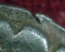 DSC00049.jpeg
