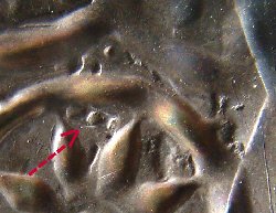 Dünnpf Detail.JPG