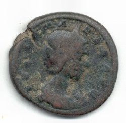 maesa-1.jpg