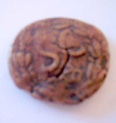 100_4636.jpg