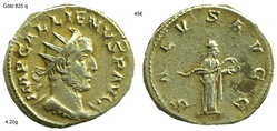 gallienus salus avgg2.jpg