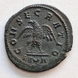 Divo_Numeriano_Rv.jpg (80.07 KiB) 2482 mal betrachtet Divo_Numeriano_Rv.jpg