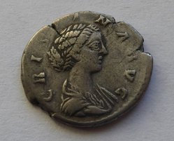 P1010173.jpg