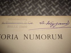 IMGP3687-min.JPG