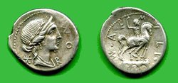 Denar Aemilia (Lepidus); Alb. 1074.jpg