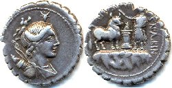 serratus diana.jpg
