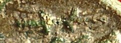 detail.jpg