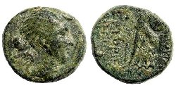eumenia_BMCphrygia21.jpg