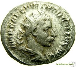 trebgallusbart.JPG