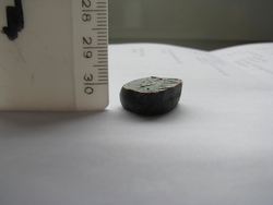 K1024_IMG_1558.JPG