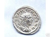 philippus2 av..jpeg