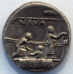 Licinivs Nerva (revers).gif