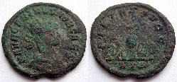 Carinus.jpg