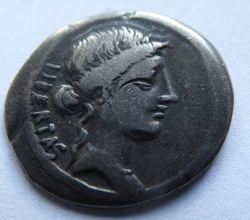 Brutus.jpg