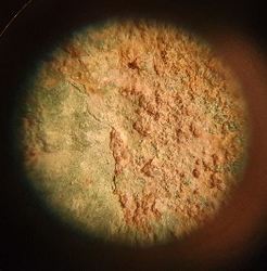 20201112_125145.jpg
