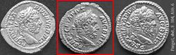 Pangerl.jpg (75 KiB) 1157 mal betrachtet Pangerl.jpg