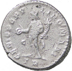 0911chlorus1.jpg