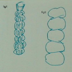 fig1.jpg