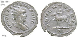 gallienus adventus avg9.jpg