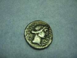 Caesar1 007.jpg