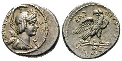 M_Plaetorius_Cr409.1.jpg