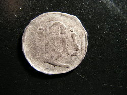 P1011337.JPG