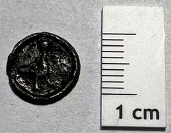 05_unbekannt, Gans (fragl. Spielgeld), AV.jpeg