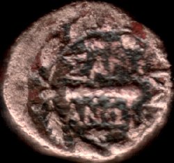 rev.8.jpg