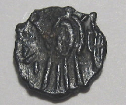 libius-b.jpg