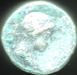Revers-2.jpg