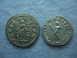 Macrinus 016.jpg