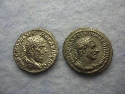 Macrinus 006.jpg