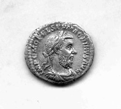 Denar Macrinus C. 55 (Avers) IMP C M OPEL SEV MACRINVS AVG..jpg