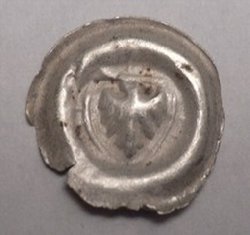 P1010609_2.jpg