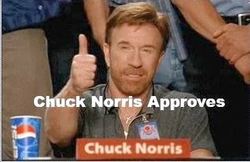 Chuck-Norris-Thumbs-Up-Meme-17.jpg