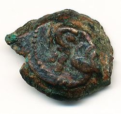 nn19_av.jpg