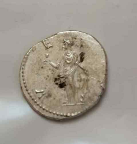 PUPIENUS. (2).jpg