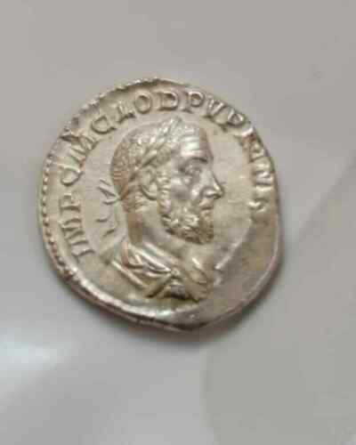 PUPIENUS (2).jpg