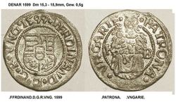 Denar-1599.jpg