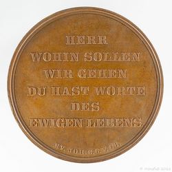 1878 Medaille Bronze Einweihung des St. Petri Turmes_02_800x800 150KB.jpg