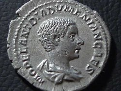 CIMG2708.JPG