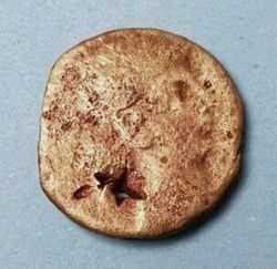 7DB58E7E-0B89-425D-BE4A-997794144C89.jpeg (88.09 KiB) 1231 mal betrachtet 7DB58E7E-0B89-425D-BE4A-997794144C89.jpeg