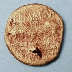 07CE5C27-3F9D-4396-8D8E-8C56FFEBE0A1.jpeg (85.4 KiB) 1238 mal betrachtet 07CE5C27-3F9D-4396-8D8E-8C56FFEBE0A1.jpeg