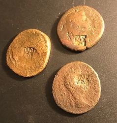 479646A9-B234-4590-A404-66A351BC8B65.jpeg (136.8 KiB) 1127 mal betrachtet 479646A9-B234-4590-A404-66A351BC8B65.jpeg