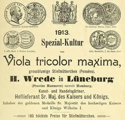 Werbung mit Königsmedaille von H. Wrede Gärtnerei und Samenhandlung 1913.jpg