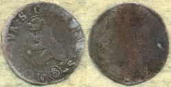 gallensis.jpg